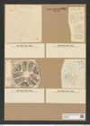 Actinoptychus stella var. thumii A. Schm. (de-Toni-Nr.: Genus 227, Species 5615) Zeichnungen Sammlung Grunow Nr. 9507 (NHMW-BOT-W0379493)